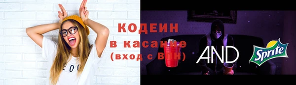 a pvp Абаза