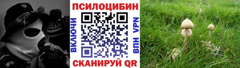 Псилоцибиновые грибы Magic Shrooms  где найти   Болохово 